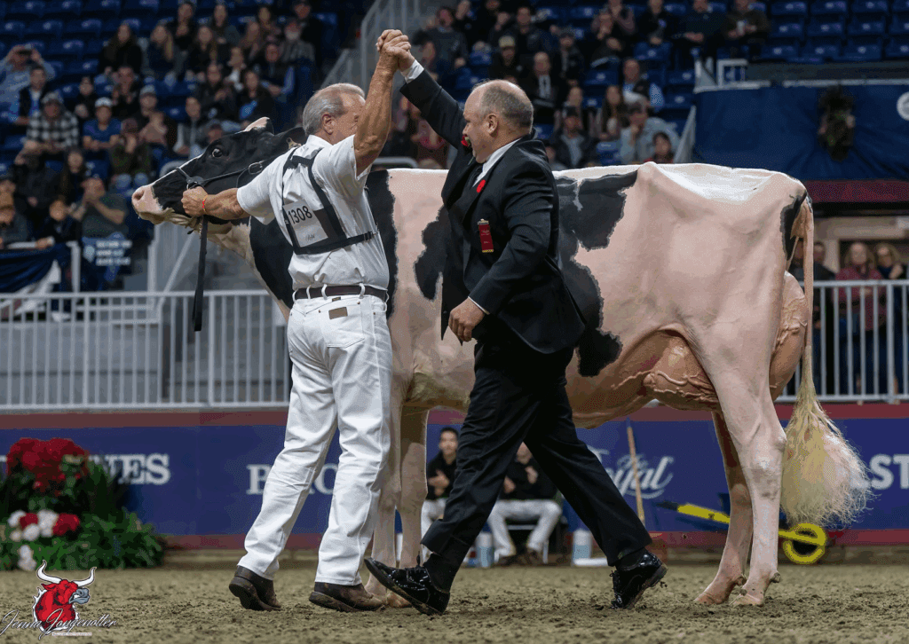 Texas producers see promise in record-breaking dairy cow purchase